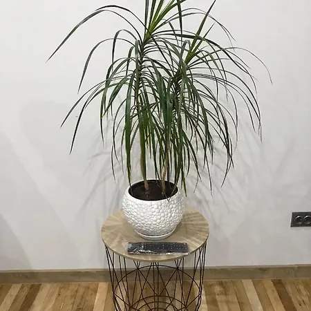 Apartment Квартира В Центре На Тираспольской *